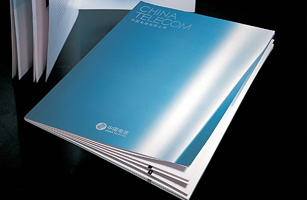 設計公司-中國電信集團年報