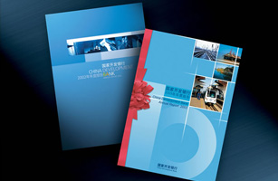 設計公司-國家開發(fā)銀行年報