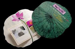 設(shè)計公司-《愛連說》高占祥荷花攝影藝術(shù)展請柬